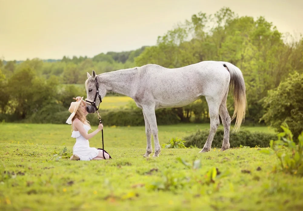 How Eco-Friendly Business Practices Enhance Public Perception of Pet Aftercare Services