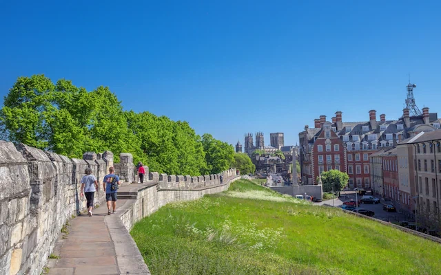 Best Sightseeing Activities for Business Trips